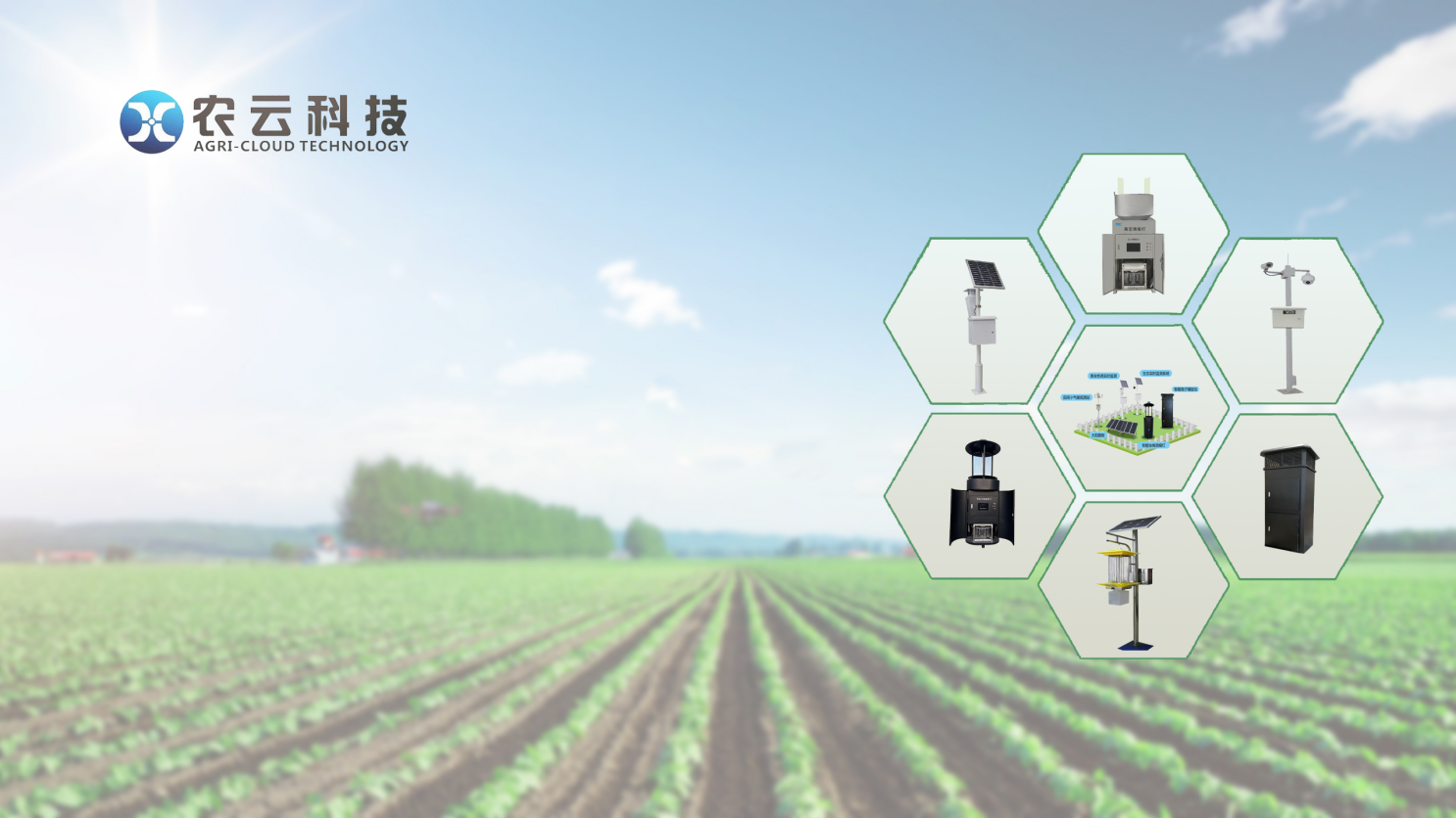 從“扛鋤頭”到“刷手機(jī)”——鄂西山區(qū)智慧農(nóng)業(yè)見(jiàn)聞